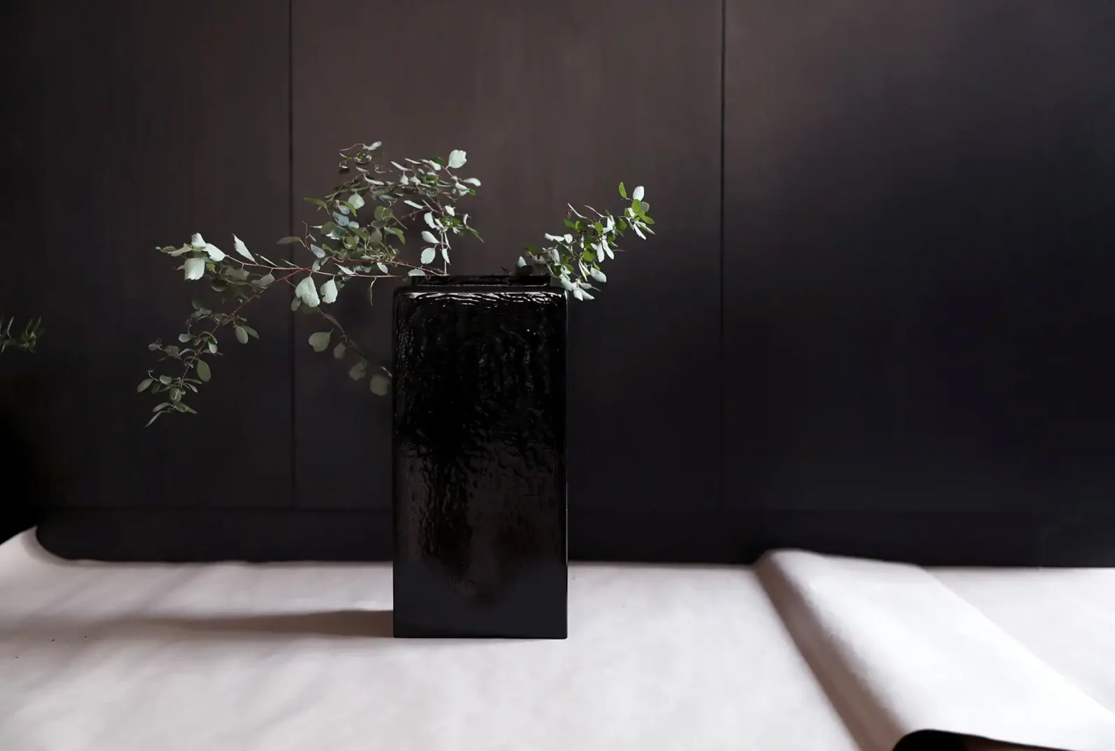 dechem black in black in black glass interior 2
