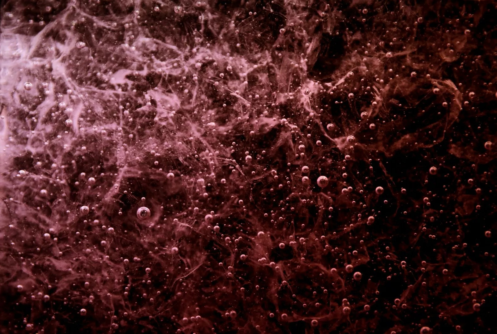 Close-up of bubbles in a dark, textured liquid.