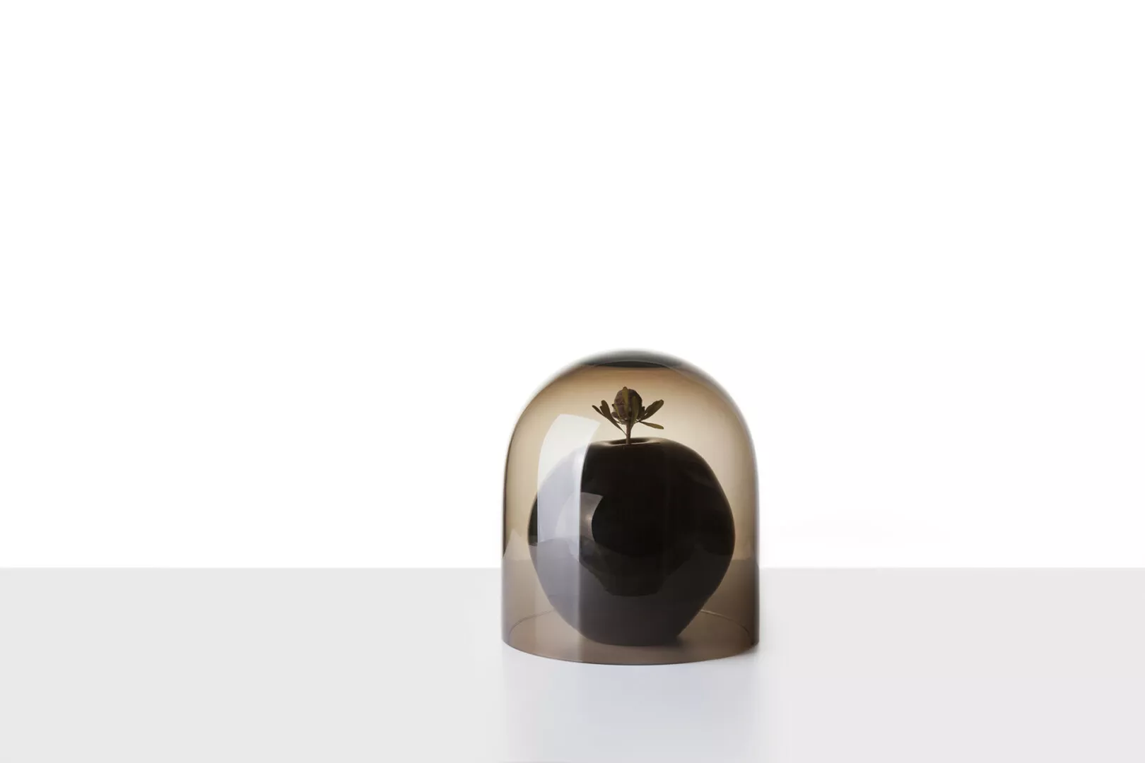 Apple sculpture under glass dome on white background.