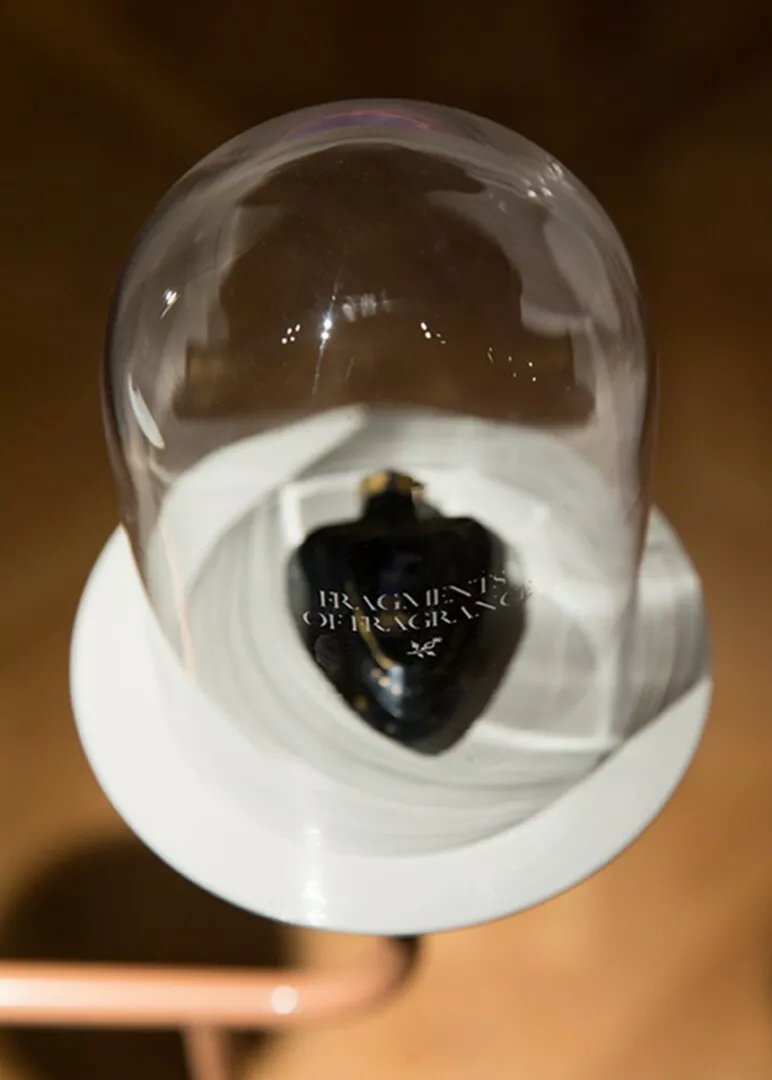 Clear glass dome over black object on white rim.