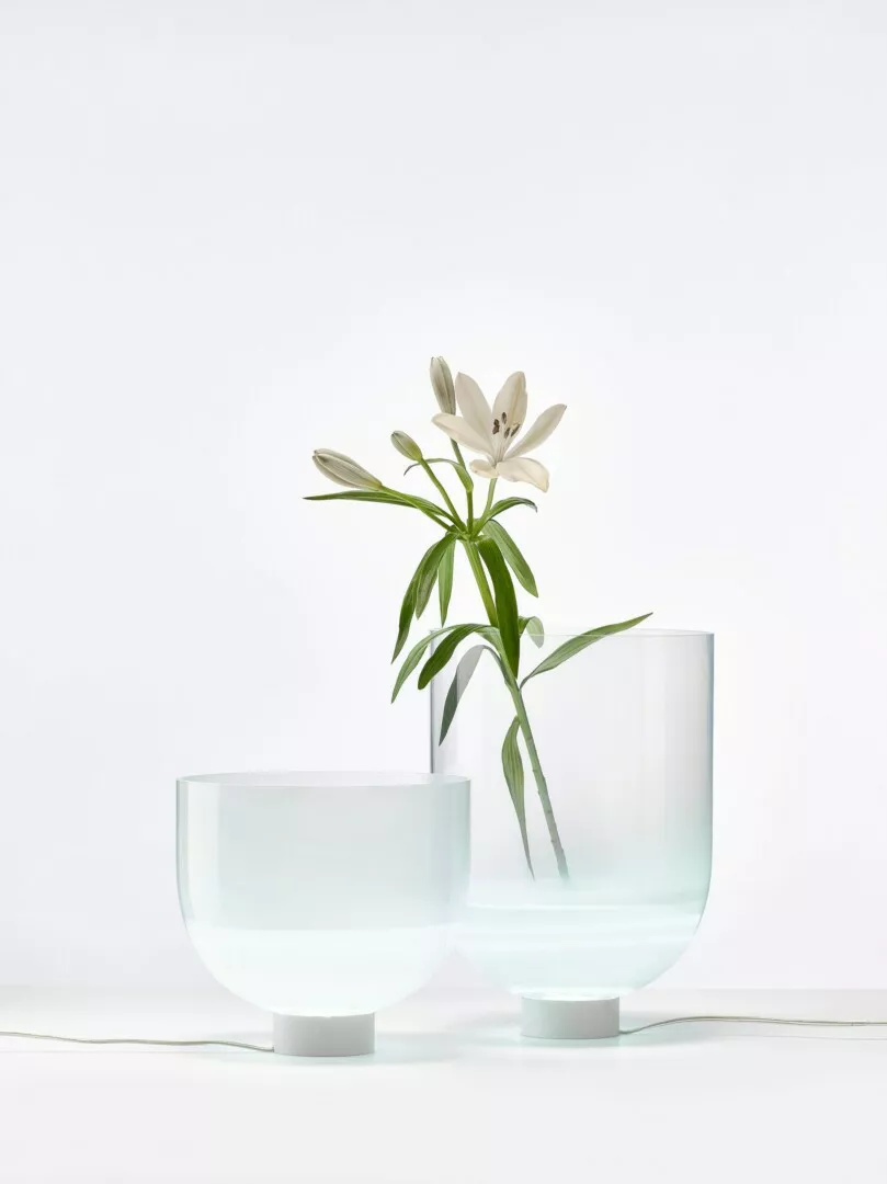 White lily in frosted glass vase on white background.
