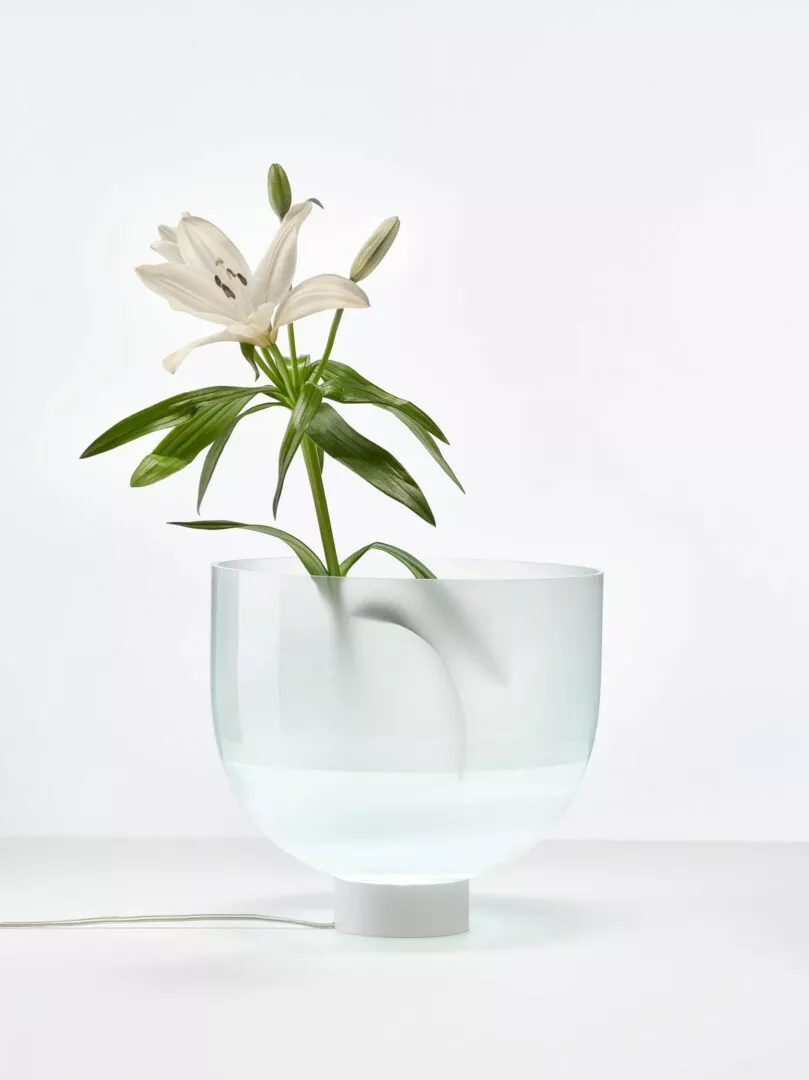 White lily in translucent glass vase on white background.