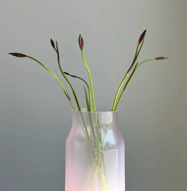 BANDASKA VASE MEDIUM Colour of the month